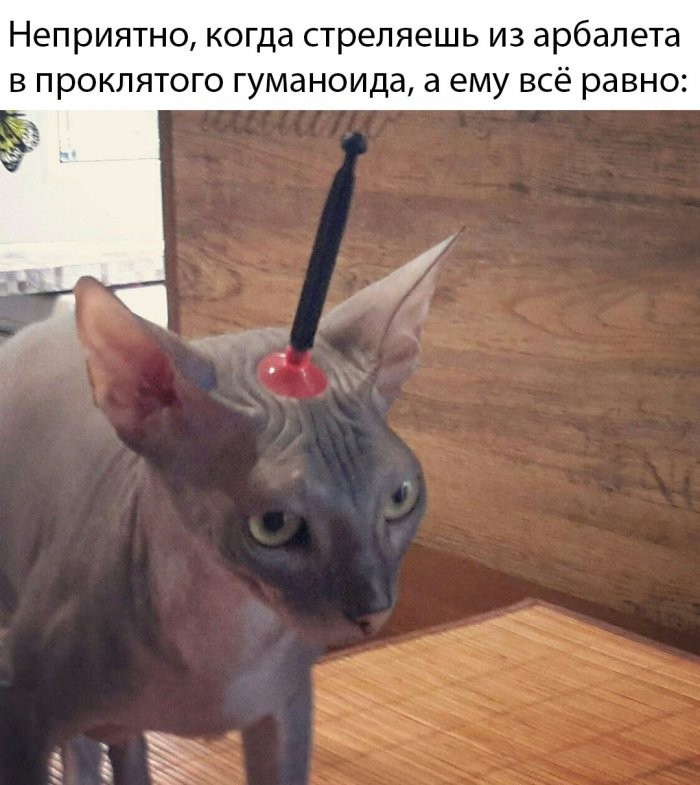 Позорище