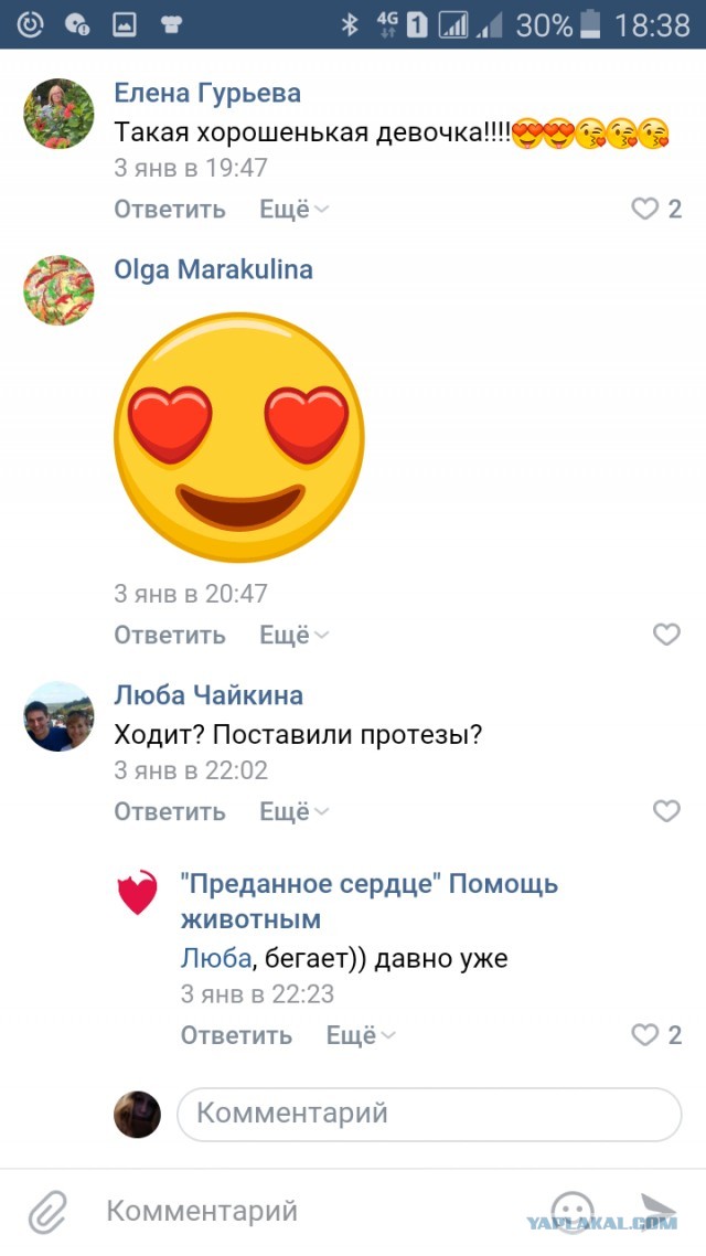 Помогите вернуть кота! Приют "Преданное сердце" украл кота и не отдает!-2