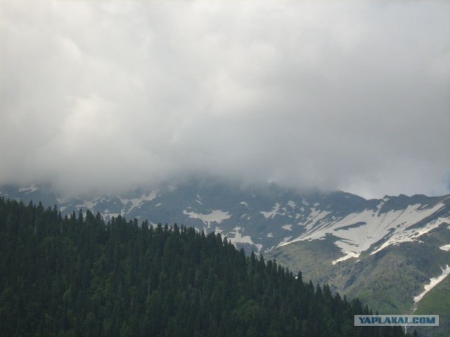 Абхазия (49 фото)