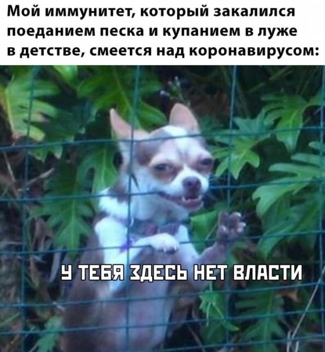 Немного картинок для настроения 18.03.20