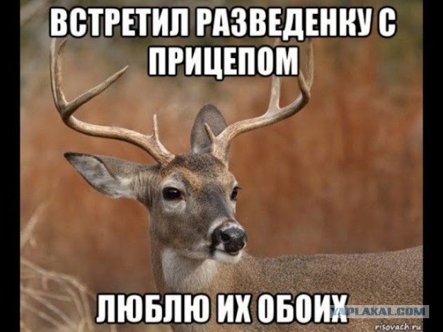 Разведенки не нужны?