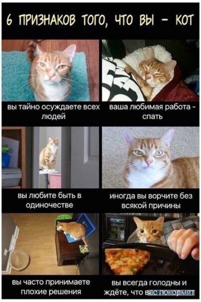 Женщины против ДНК-теста на отцовство