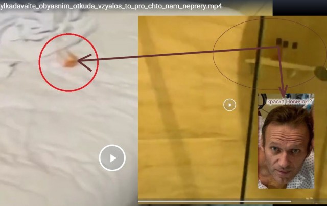 Ядовитый источник. Расследование о том, где был отравлен Алексей Навальный