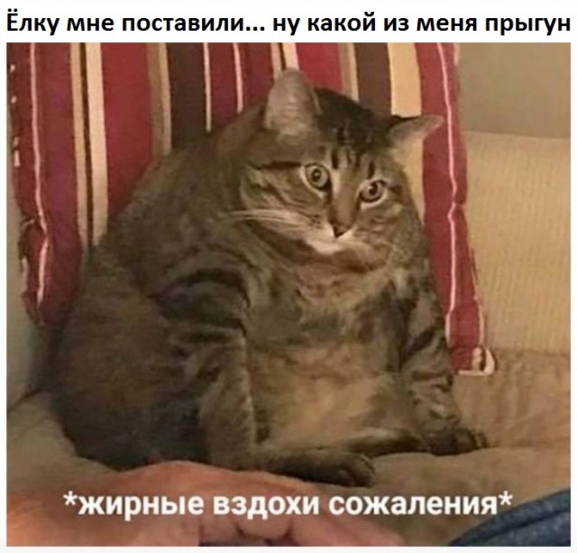Время  девчонкам наряжать ёлочку!