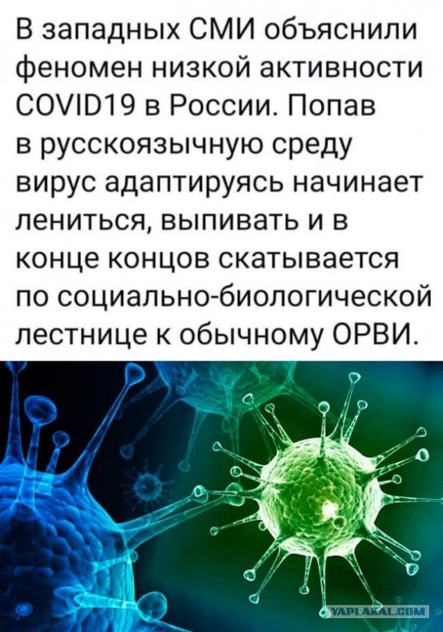 У вирусов есть сознание? Что известно науке об их удивительном поведении