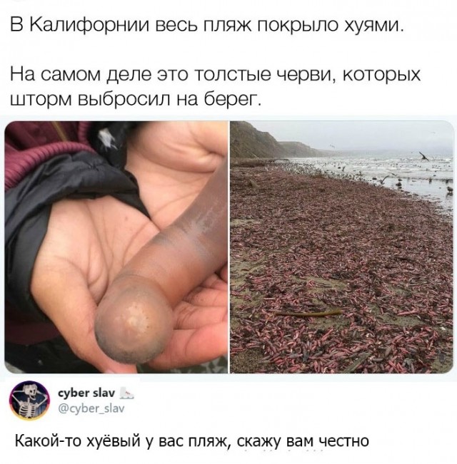 Картинки и мемы для настроения 14.04.2021