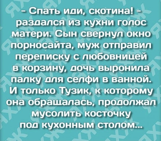 Весёлый полтишок 23.05