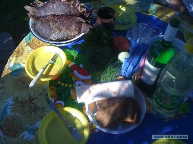 Все из рыбы!