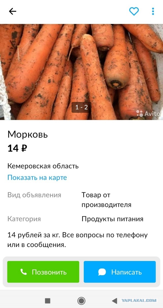 Хочешь увидеть меня раздетым?