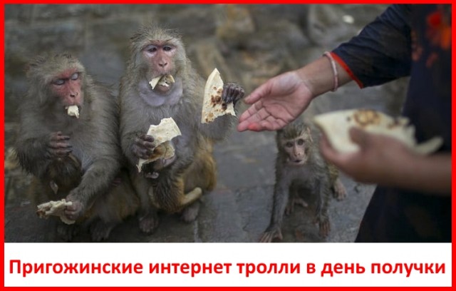 Метод "Гнилой Селёдки"