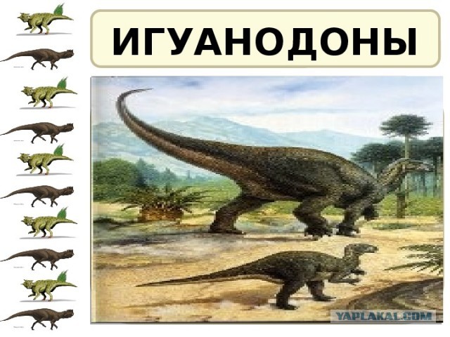 Версия о происхождении ковида