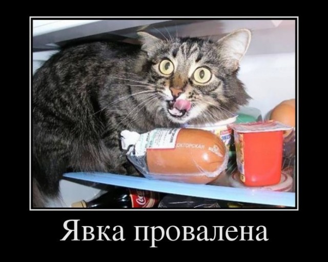 ТруЪ демотиваторы