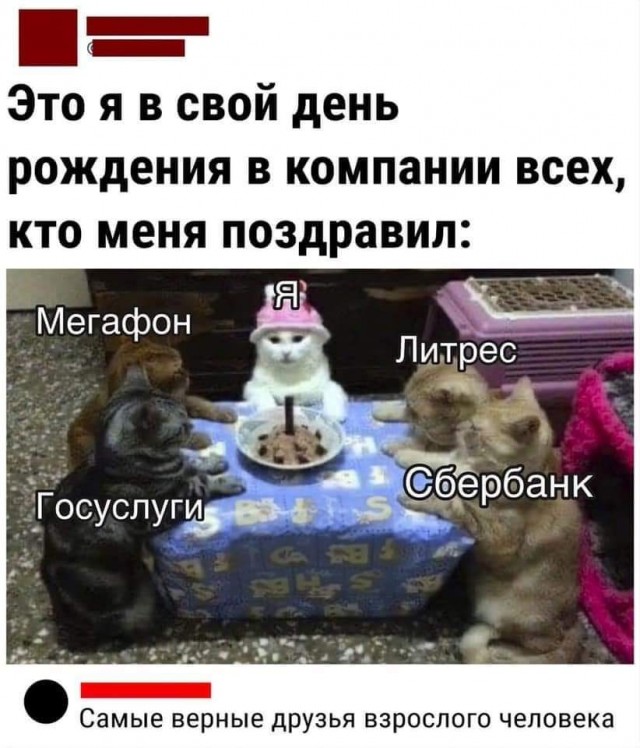 Всяческие картинки 29.12.2021