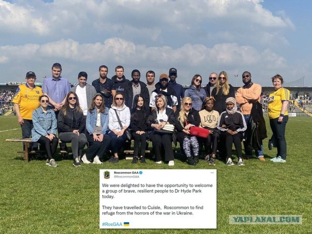 Сбиты две полнюсенькие вертушки