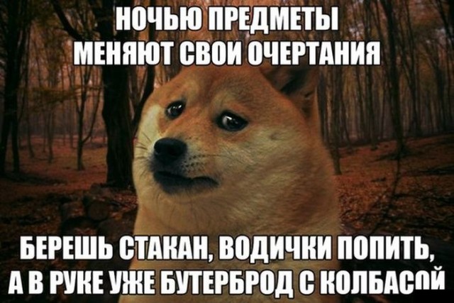 Весёлый полтинничек 01.04.2022