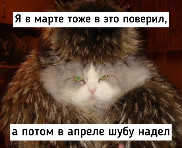 Пандемия. Коронавирус и съехавшие крыши. Россия и мир. Часть 32.