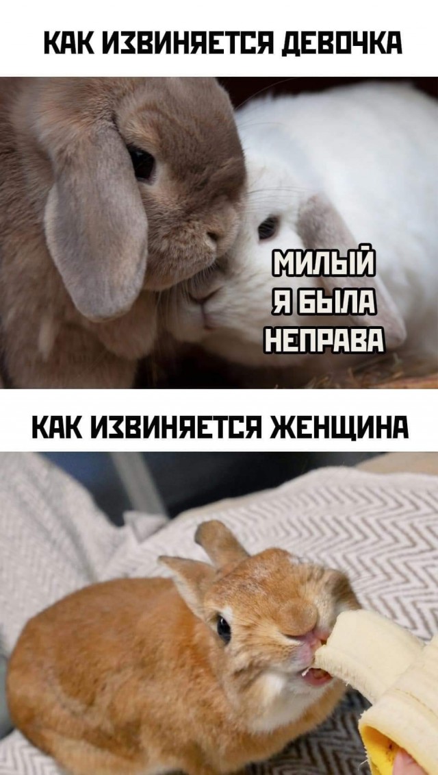 Так себе картинки 19.05.22
