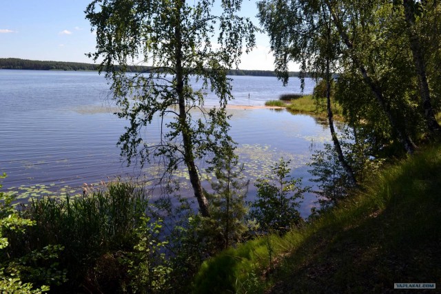 Отдых по-русски.