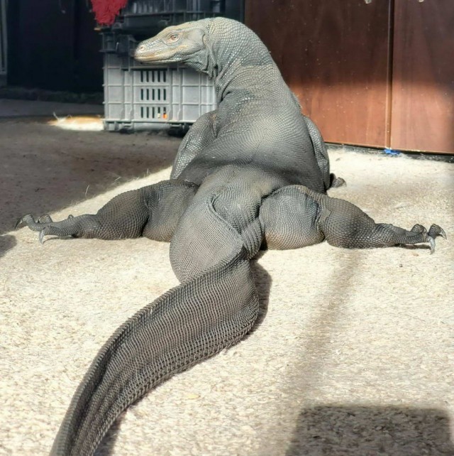 Просто фотографии