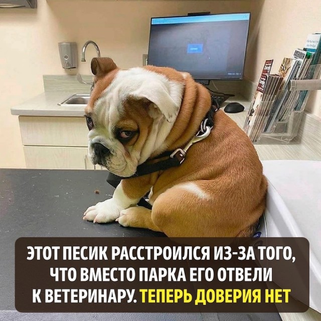 Всем хороших выходных - картинки и т.п.