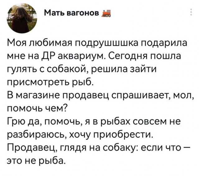 Комментарии из соцсетей. Смешные, грустные, твои.