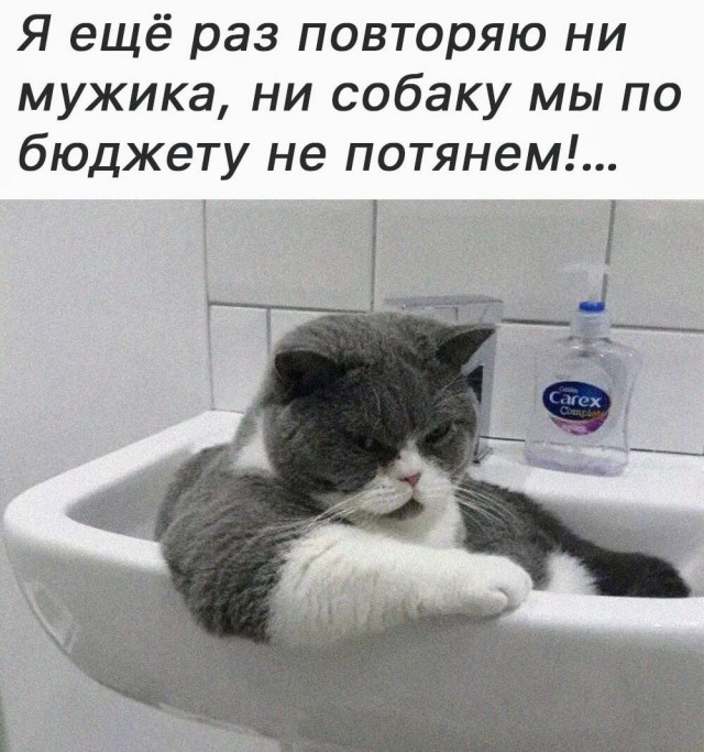 Картинки и мемы, всяко разно - 185