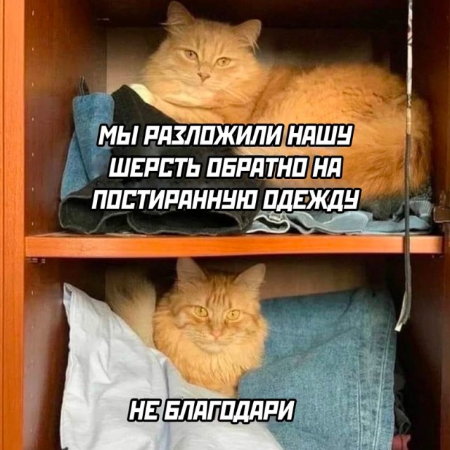 Картинки и мемы, всяко разно - 185