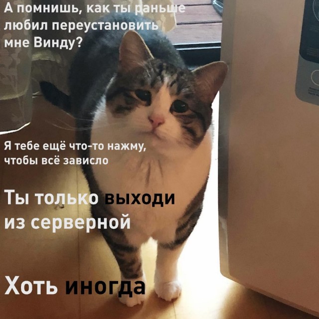 С днем системного администратора!