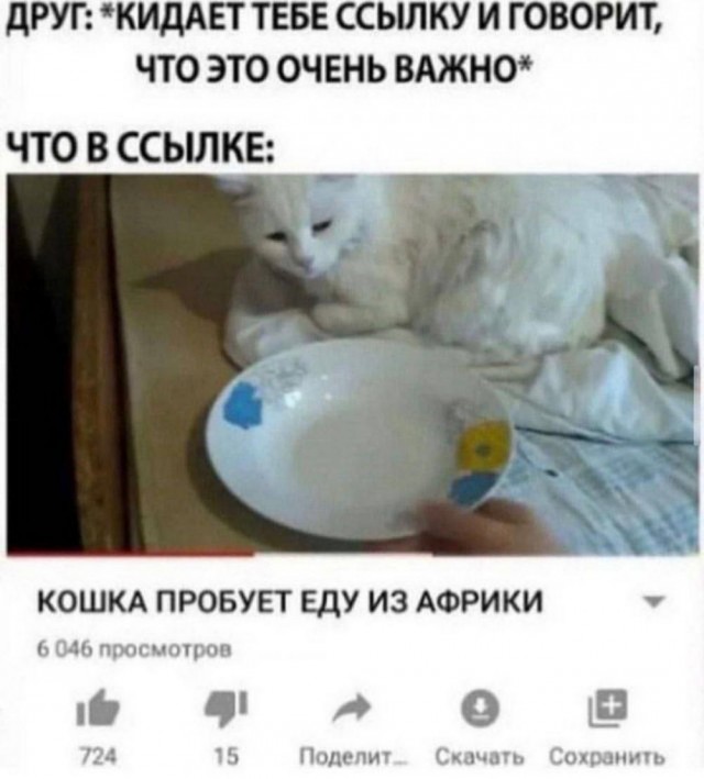 Скупка краденого из сети 09-08-2023