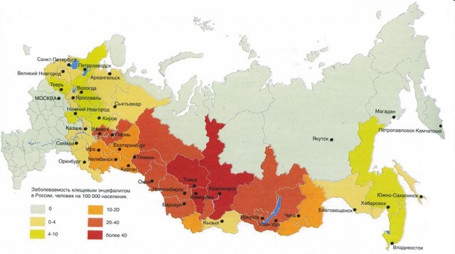 Всё, никаких больше грибов! Укусил клещ