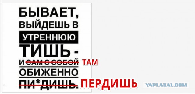 Отряд быстрого деградирования