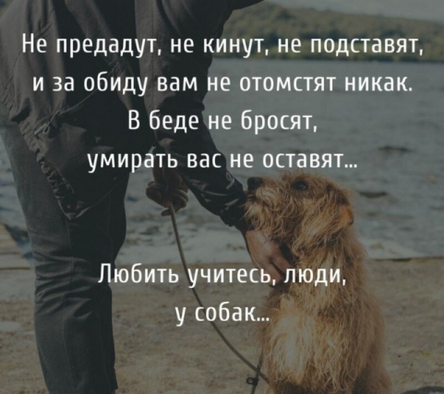 Бросил друга
