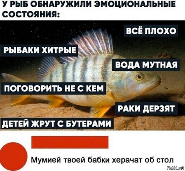 Пятничные картинки 19.01.2024