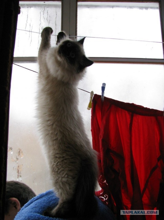 Поработал,можно и поесть)))