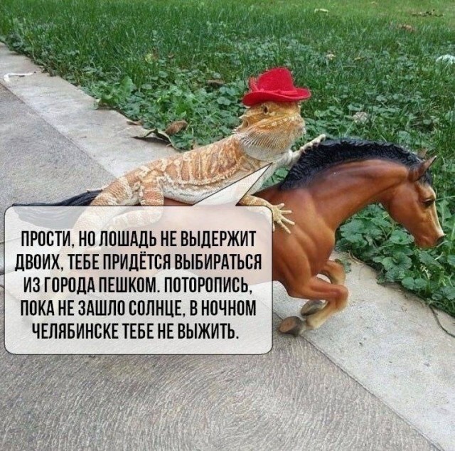 Так себе картинки 04.06.24
