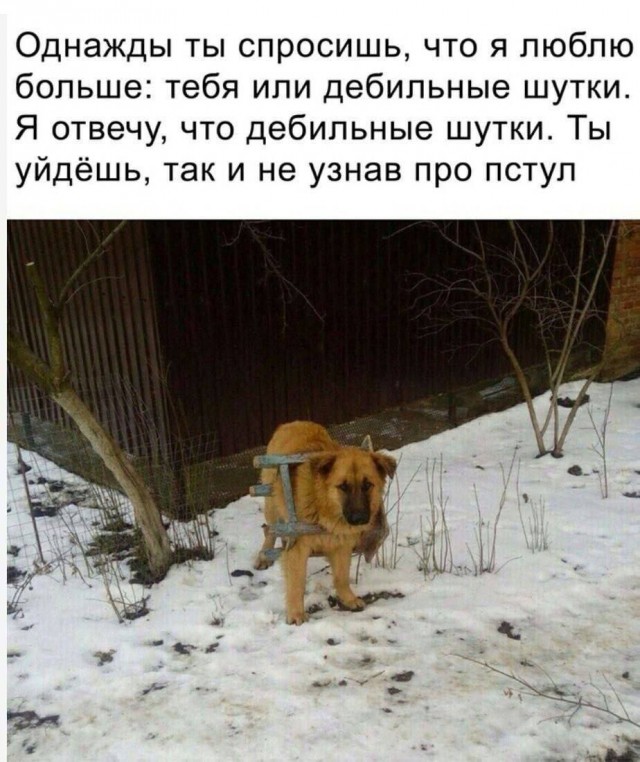 Сборник бабаянов или неожиданная помойка от Неждалигады