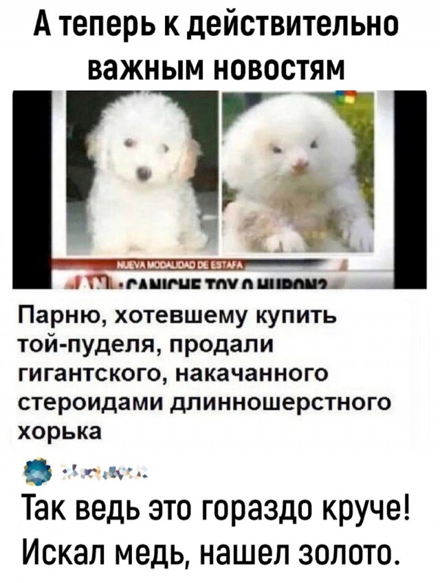 Завалялось тут случайно немного забавных картинок