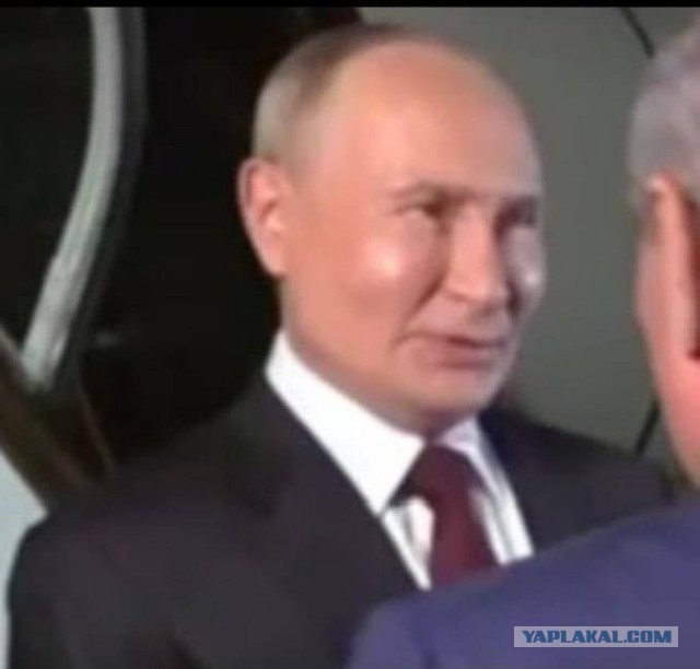 Путин подписал указ об оказании гуманитарной поддержки лицам, разделяющим традиционные российские духовно-нравственные ценности