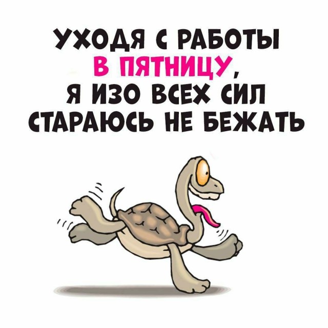 Всего понемногу. От 23.08