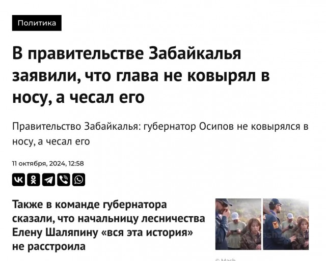 Губернатор Осипов не мазал козявку на начальницу лесничества, он просто отгонял от неё мошек.