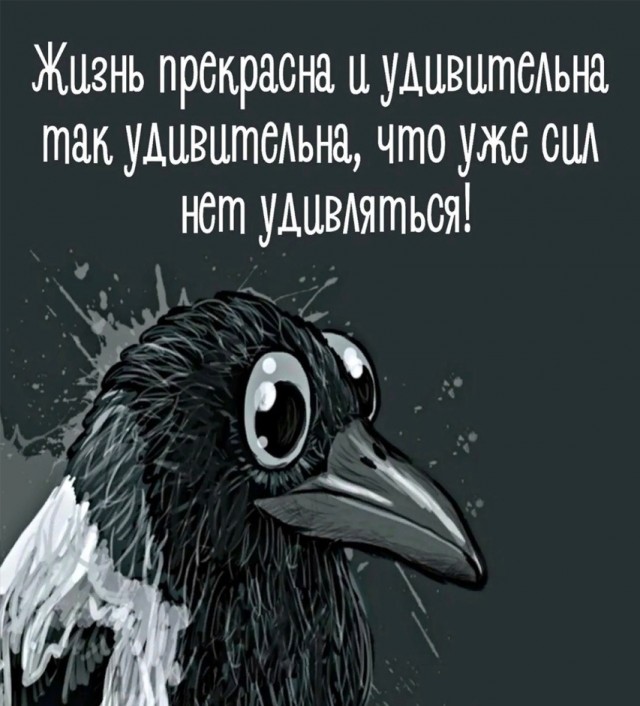 Так себе картинки 30.10.24
