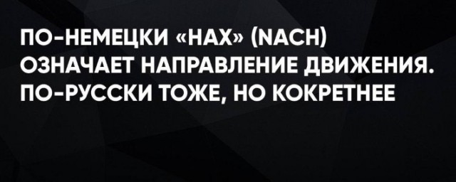 Прикольные и просто красивые картинки