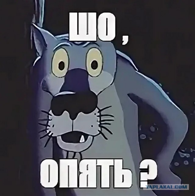 Очумелые Пёрышки. Начало