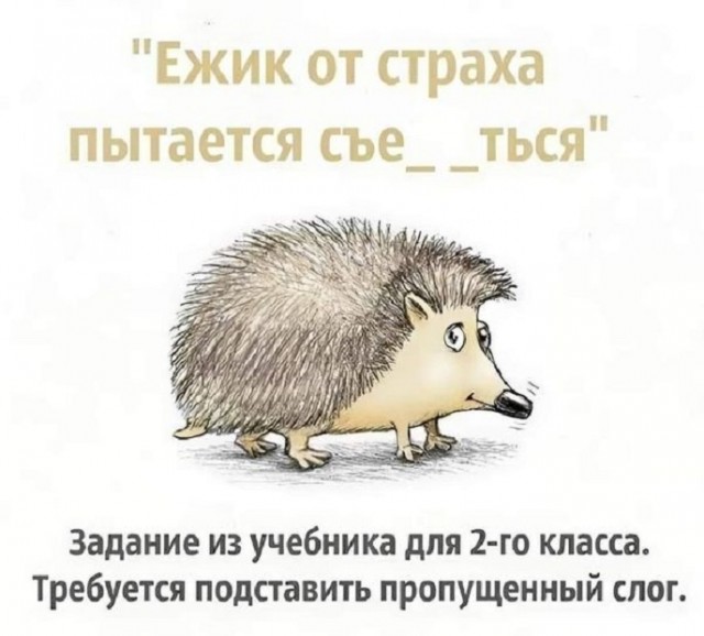 Картинки разные с надписями и без
