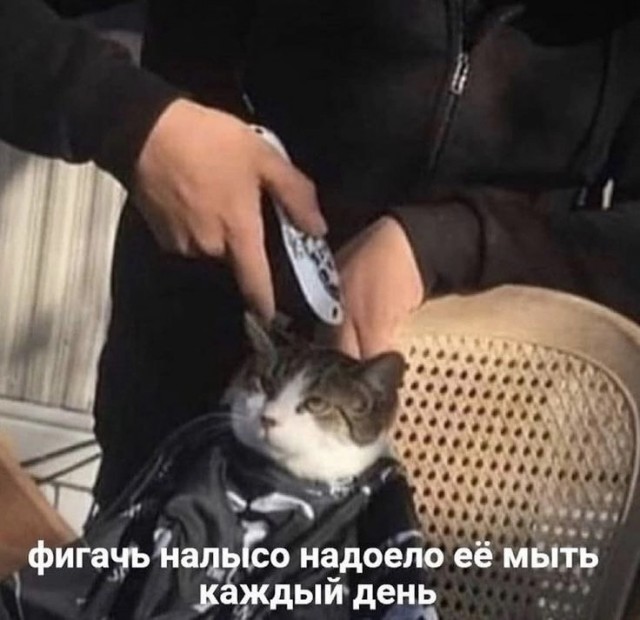Завалялось тут случайно немного забавных картинок