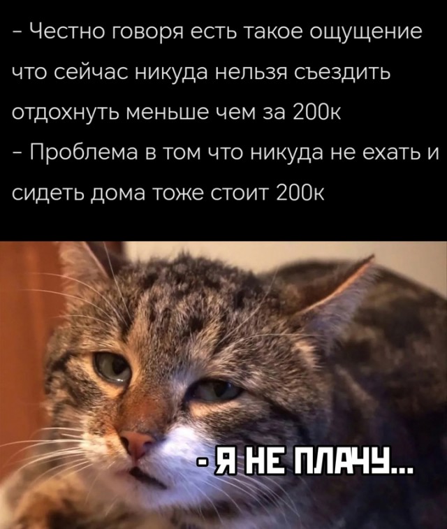 Весёлый полтишок 16.02.25