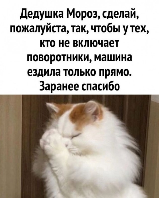 К котовторнику: подборка картинок-баянов с котиками и про котиков. Выпуск 2.