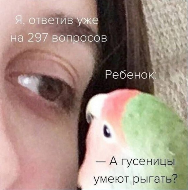 Веселые картинки в маленькую пятницу (28.05)