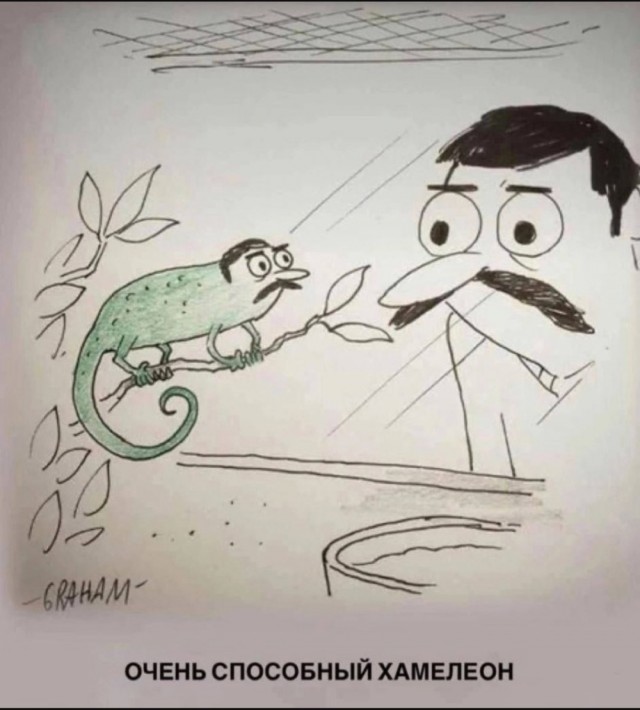Завалялось тут случайно немного забавных картинок