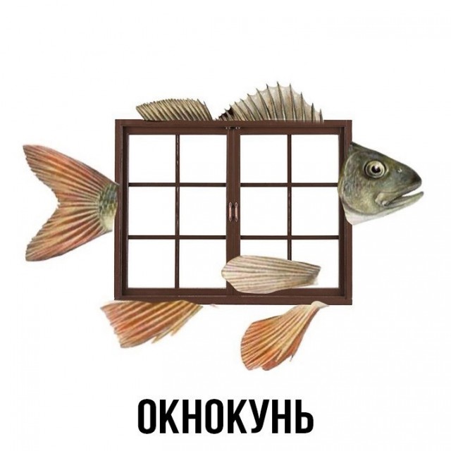 8 картинок животного мира